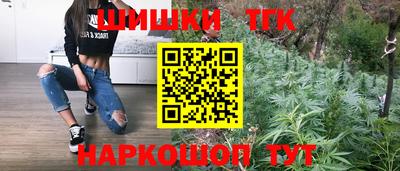 индика Новокубанск