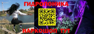 альфа пвп Новодвинск