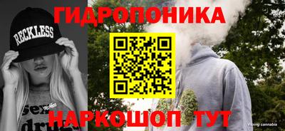 альфа пвп Новодвинск