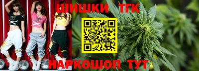 альфа пвп Новодвинск