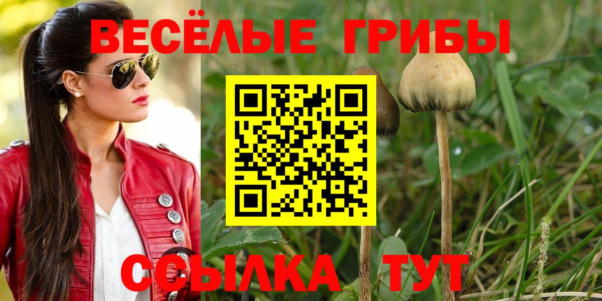 Урюпинск  Галлюциногенные грибы Magic Shrooms  Вход с VPN 