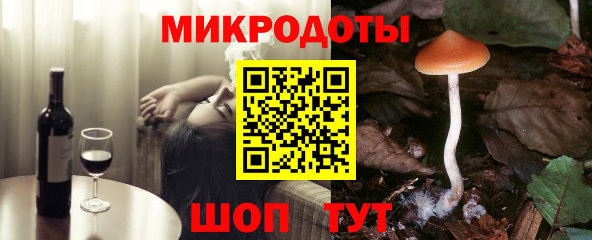 Галлюциногенные грибы Psilocybe Урюпинск